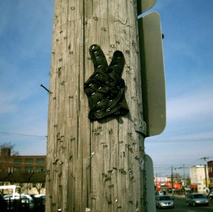 733829_10151557960834489_557128810_n