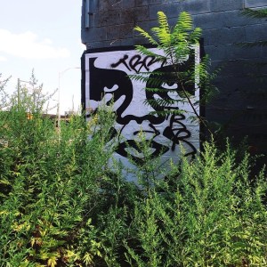 10570190_666893656733814_1685226728_n