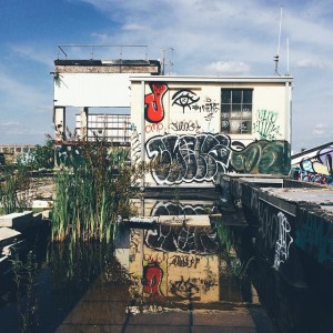 10593413_867915153218678_1845748355_n