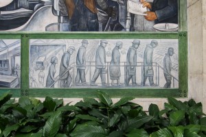 IMG_6550