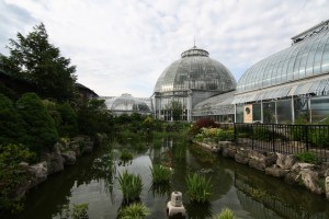 IMG_6720