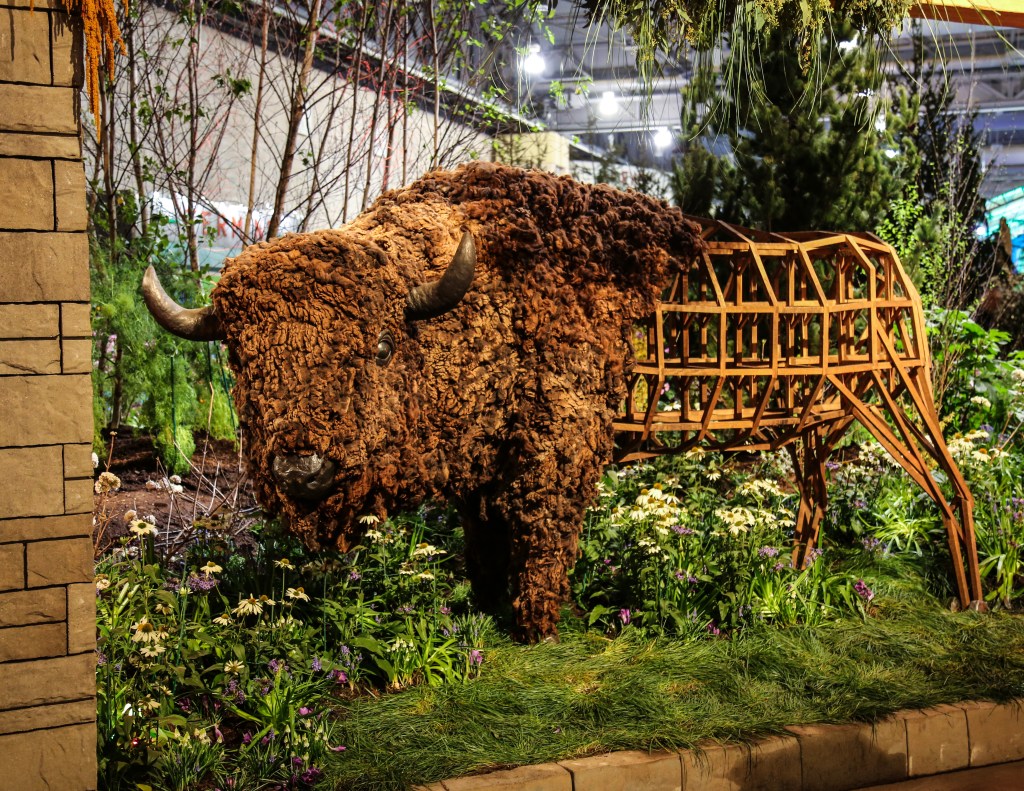 ConradBenner_FlowerShow_10