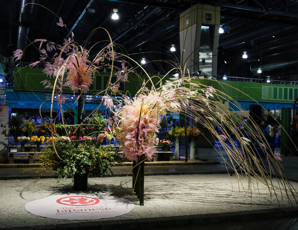 ConradBenner_FlowerShow_17