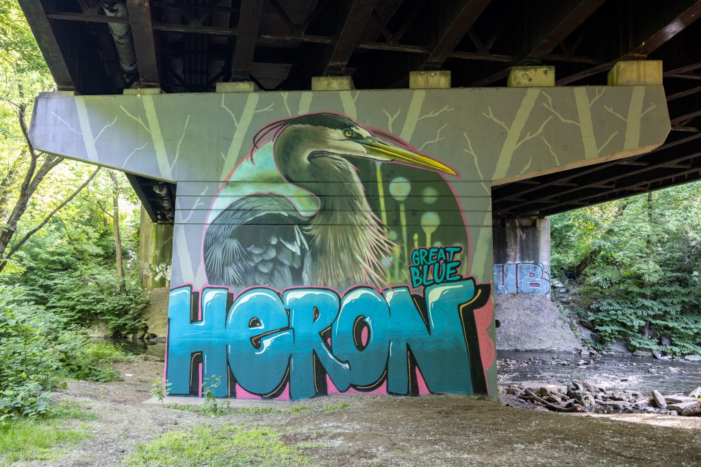Bird Murals in Tacony Creek Park Refreshed by Evan Lovett of VURT&nbsp;Creative