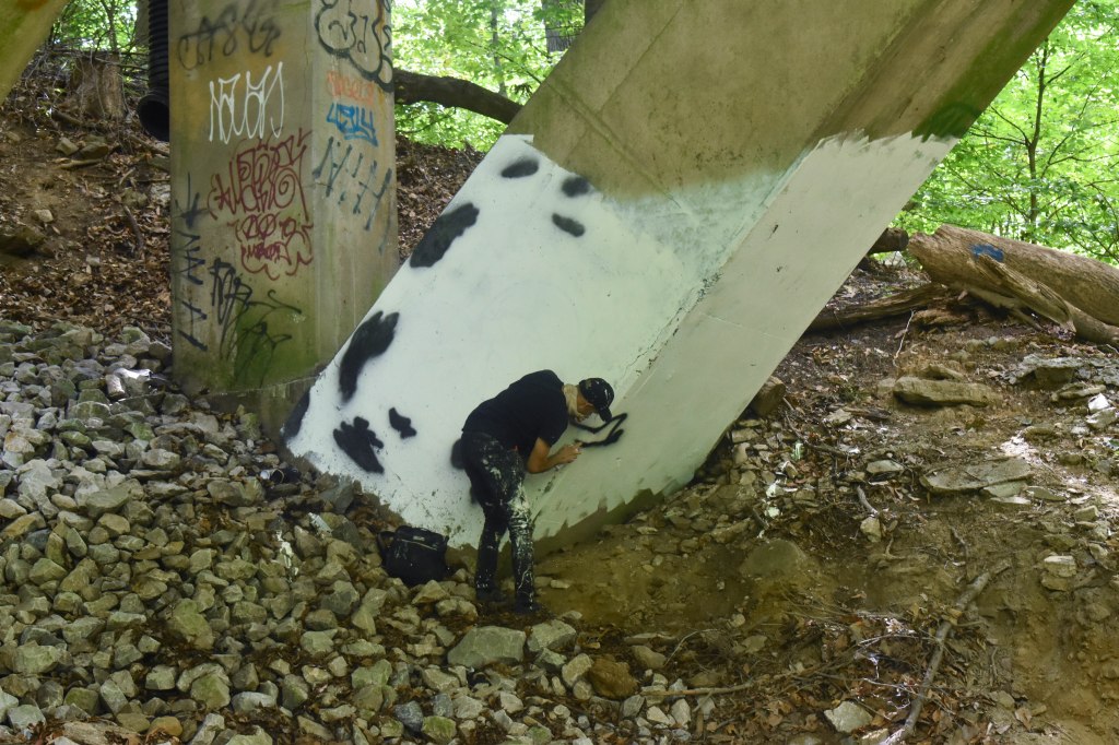 Philly Art Mysteries: The Origin Story of “Shamcow” 