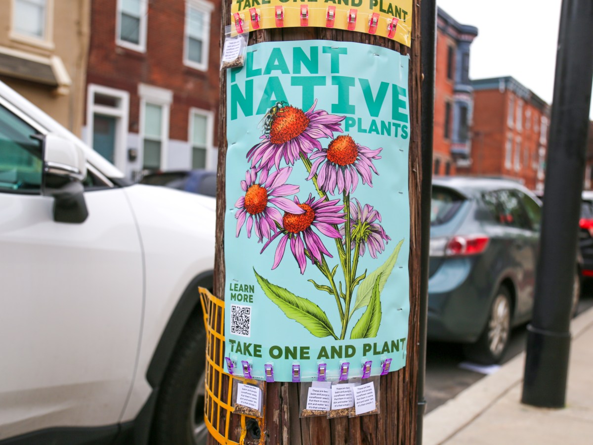 Protecting Philly’s Biodiversity with Free Seed&nbsp;Posters